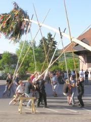 Intaktes Gemeinschaftsleben - hier: Maibaum stellen